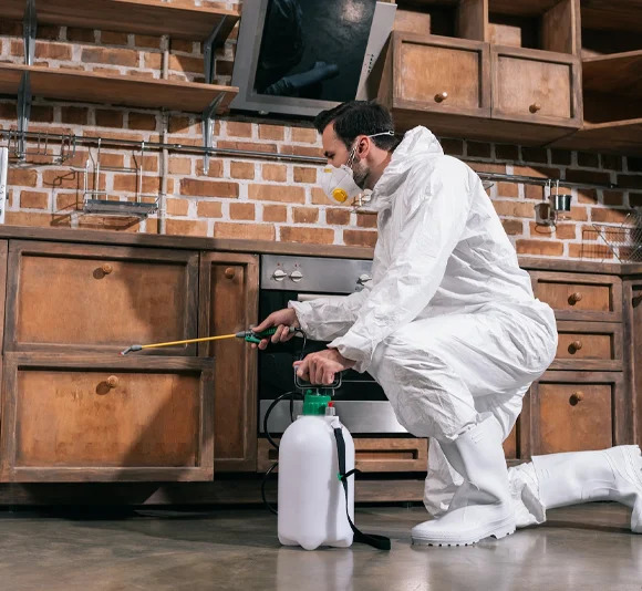 pest control in Longueuil, Quebec, Canada